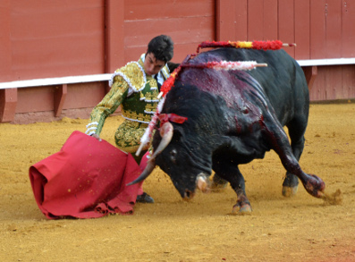 Myths about bullfighting