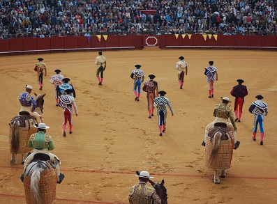 What is is bullfighting