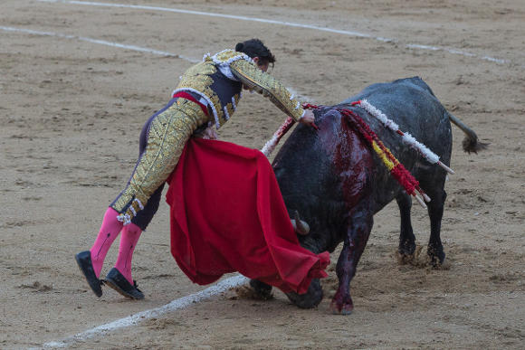 Matador Diego Urdiales killing a bull in Madrid