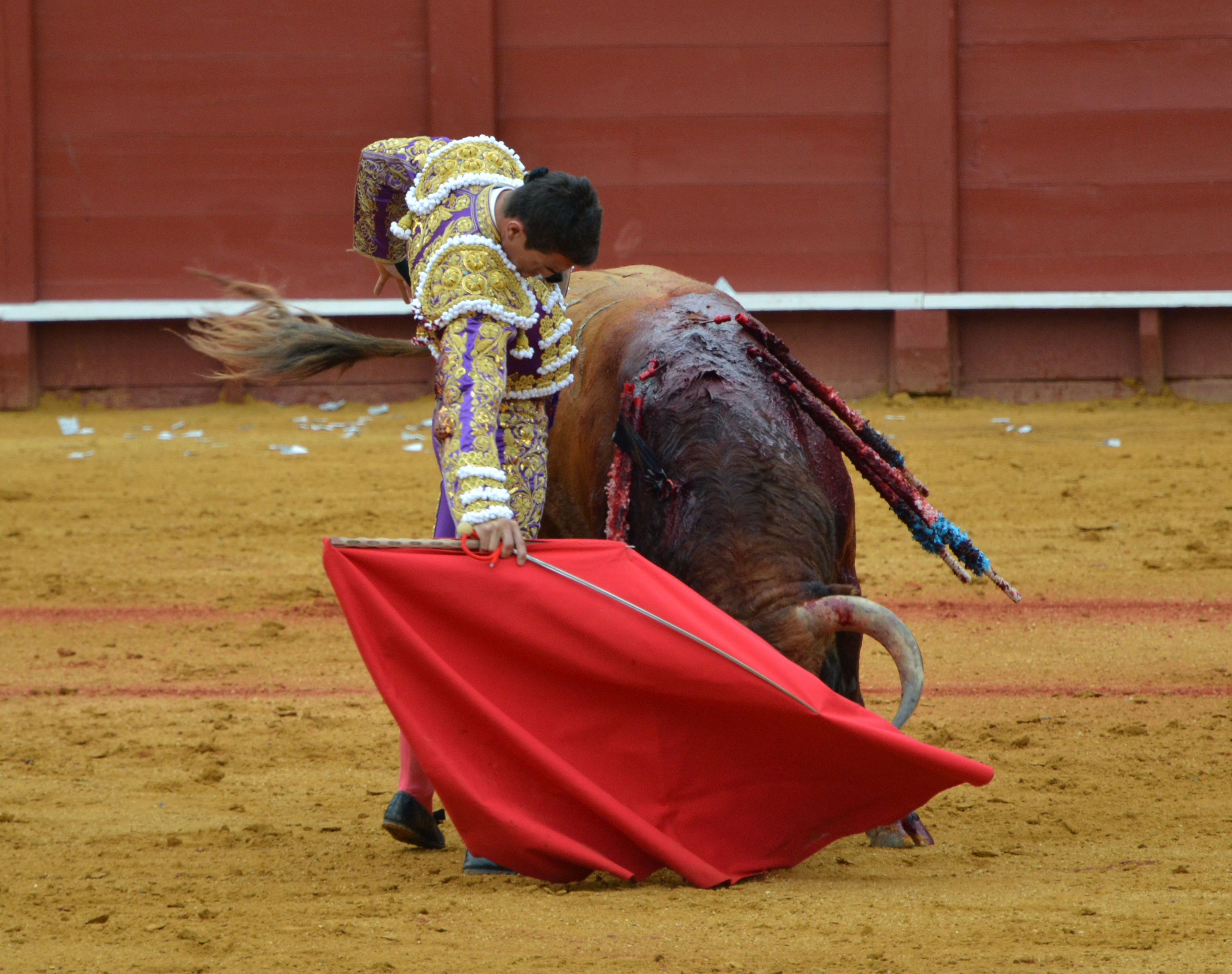 José María Manzanares performs with the muleta