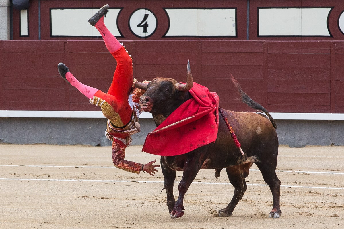 A goring during a bullfight in Madrid